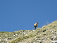 2026-05-27 M. Aquila da F. Cerreto 110